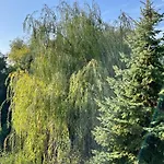 Apartament Vadrozsa