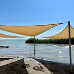 Vadrozsa *