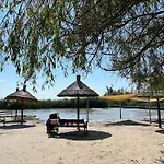 Vadrozsa *