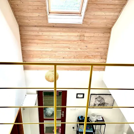 Vadrozsa Apartament