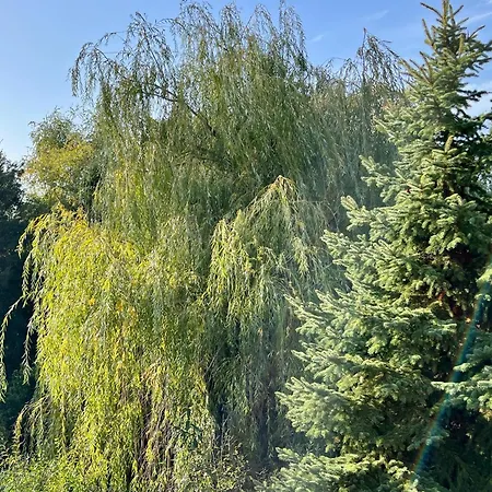 Apartment Vadrozsa Haz, Csendre Vagyoknak