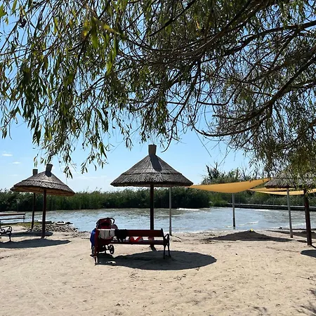 Vadrozsa *