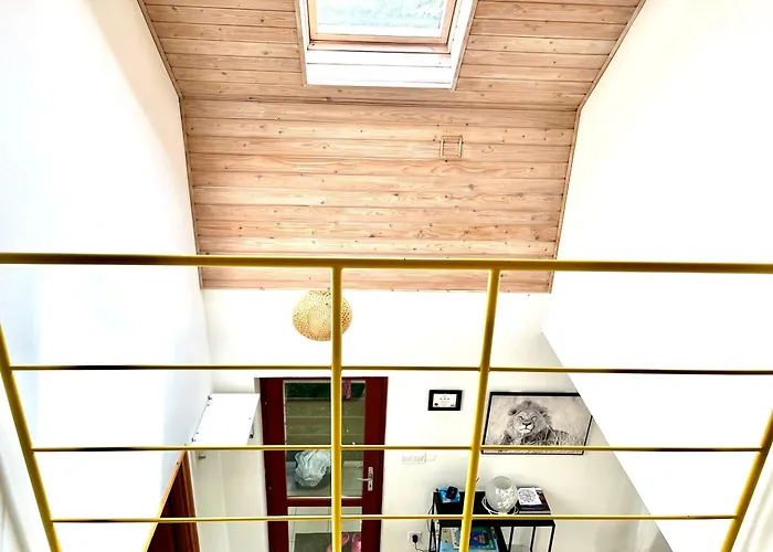 Vadrozsa Apartment