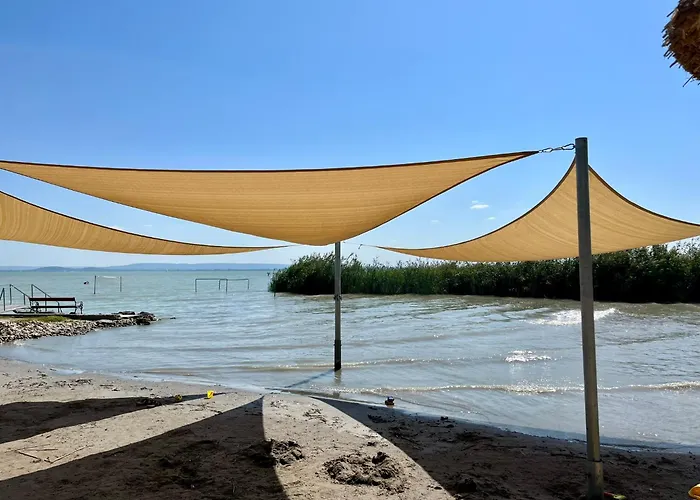 Vadrozsa *